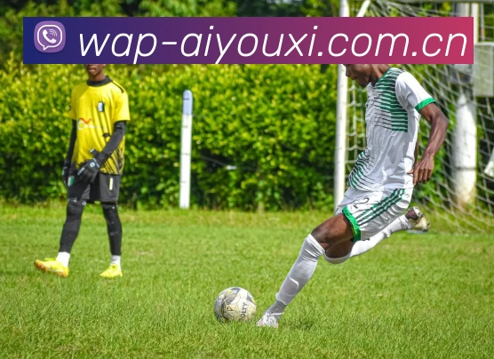 爱游戏体育发展历程